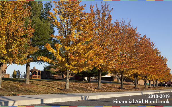 photo of fall leaves on campus